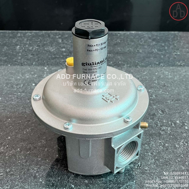 giuliani anello Mod:FG2B25 (13)